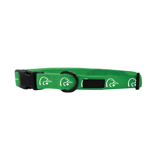 Trailblazer Collar